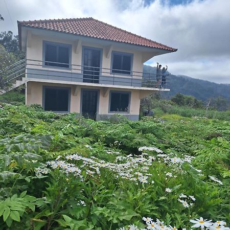 Villa Correia - Ribeiro Frio Sao Roque Do Faial Экстерьер фото