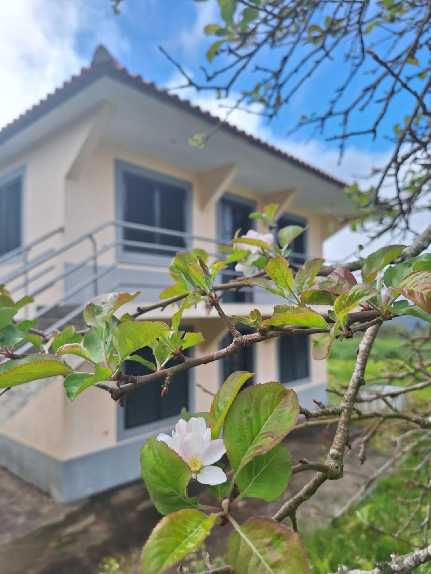 Villa Correia - Ribeiro Frio Sao Roque Do Faial Экстерьер фото